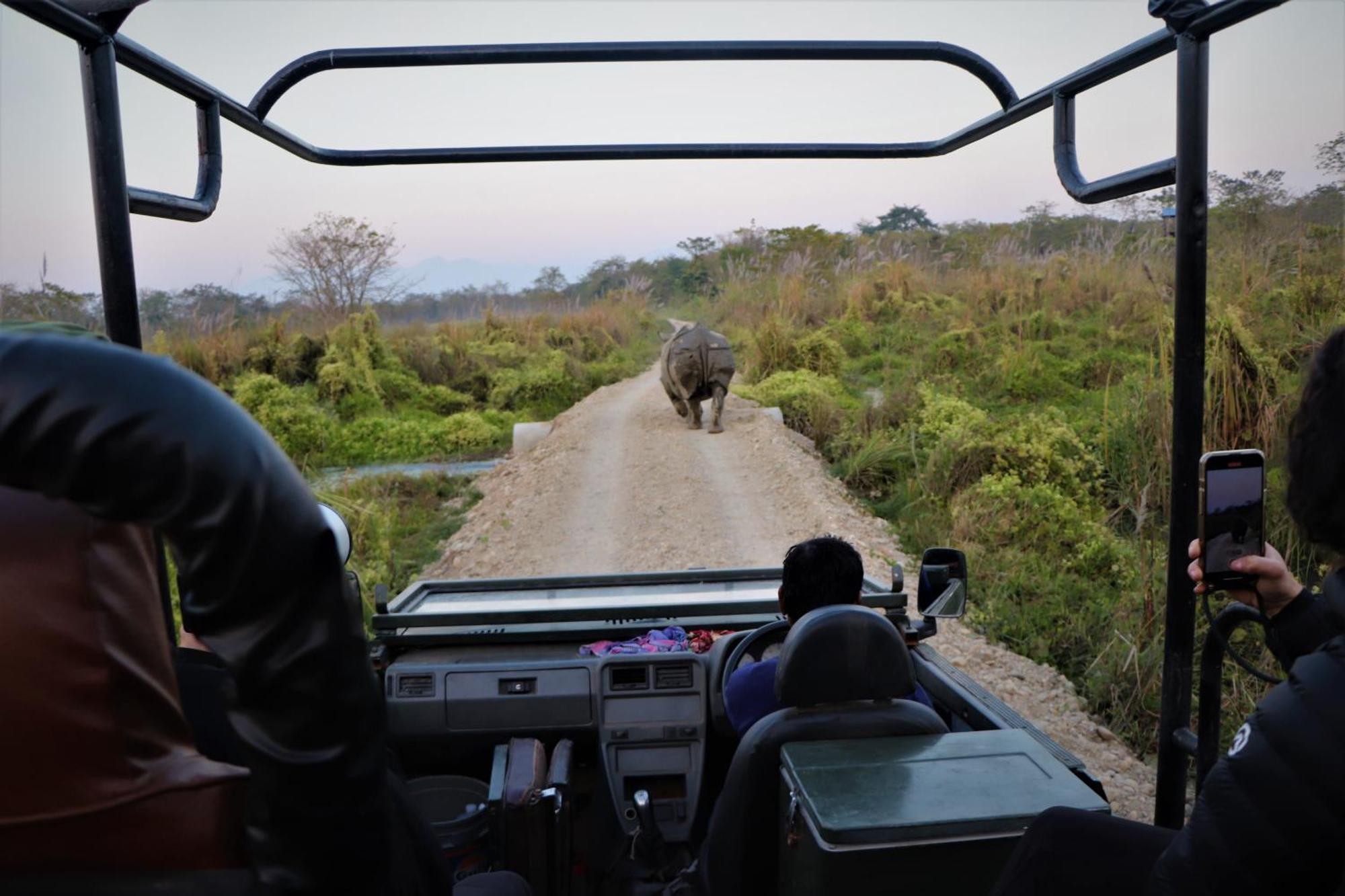 Hotel Flycatcher Chitwan- A Jungle Safari Home Sauraha Εξωτερικό φωτογραφία
